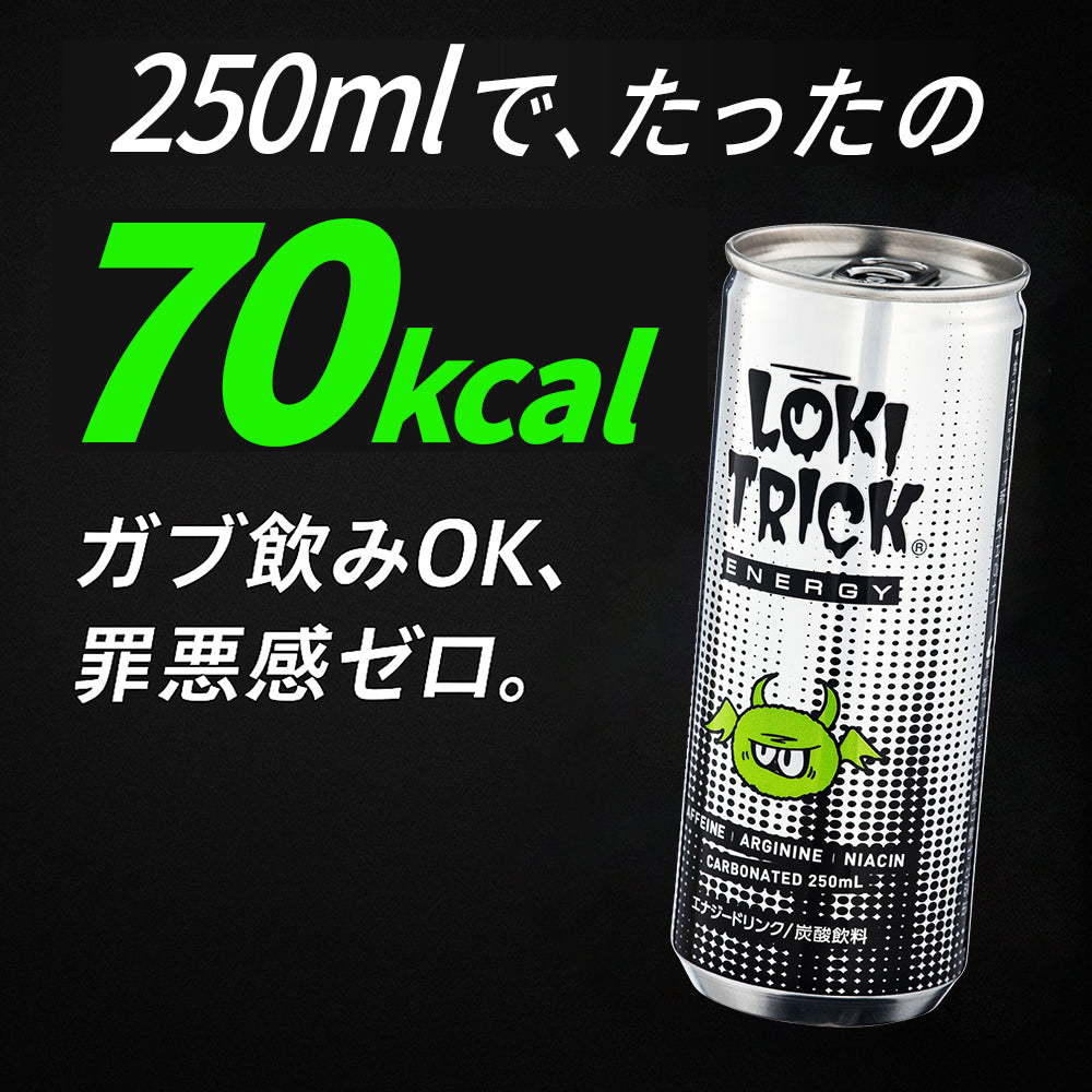 【即納 】ロキトリック エナジー250ml × 30本